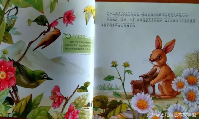 儿童绘本故事美丽的风景,花儿的故事绘本