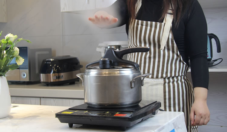 拉歌蒂尼和wmf高压锅对比,拉歌蒂尼高压锅是304不锈钢吗