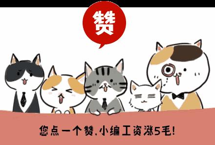 一个人去越南芽庄旅游骗局,越南芽庄旅游被坑视频