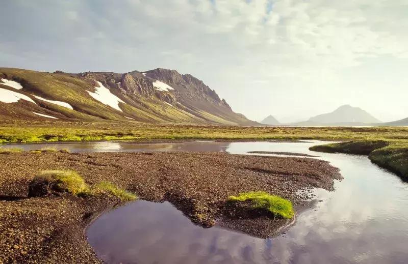 唐嫣罗晋维也纳结婚请帖地点,喜糖糖结婚