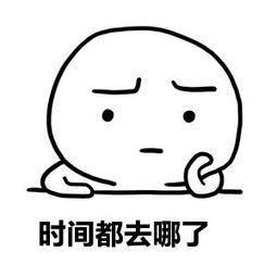 withoutquestions,withoutquestion