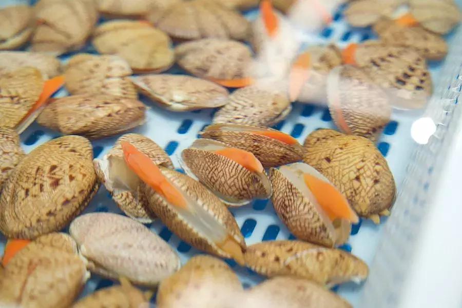 逛水族馆满脑子都是海鲜,水族馆里的海鲜