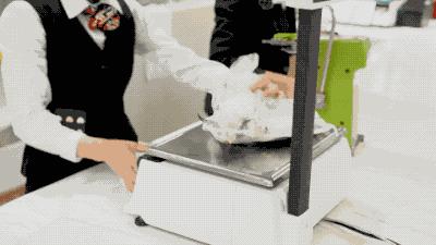 逛水族馆满脑子都是海鲜,水族馆里的海鲜