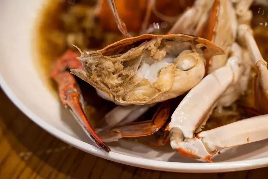 逛水族馆满脑子都是海鲜,水族馆里的海鲜