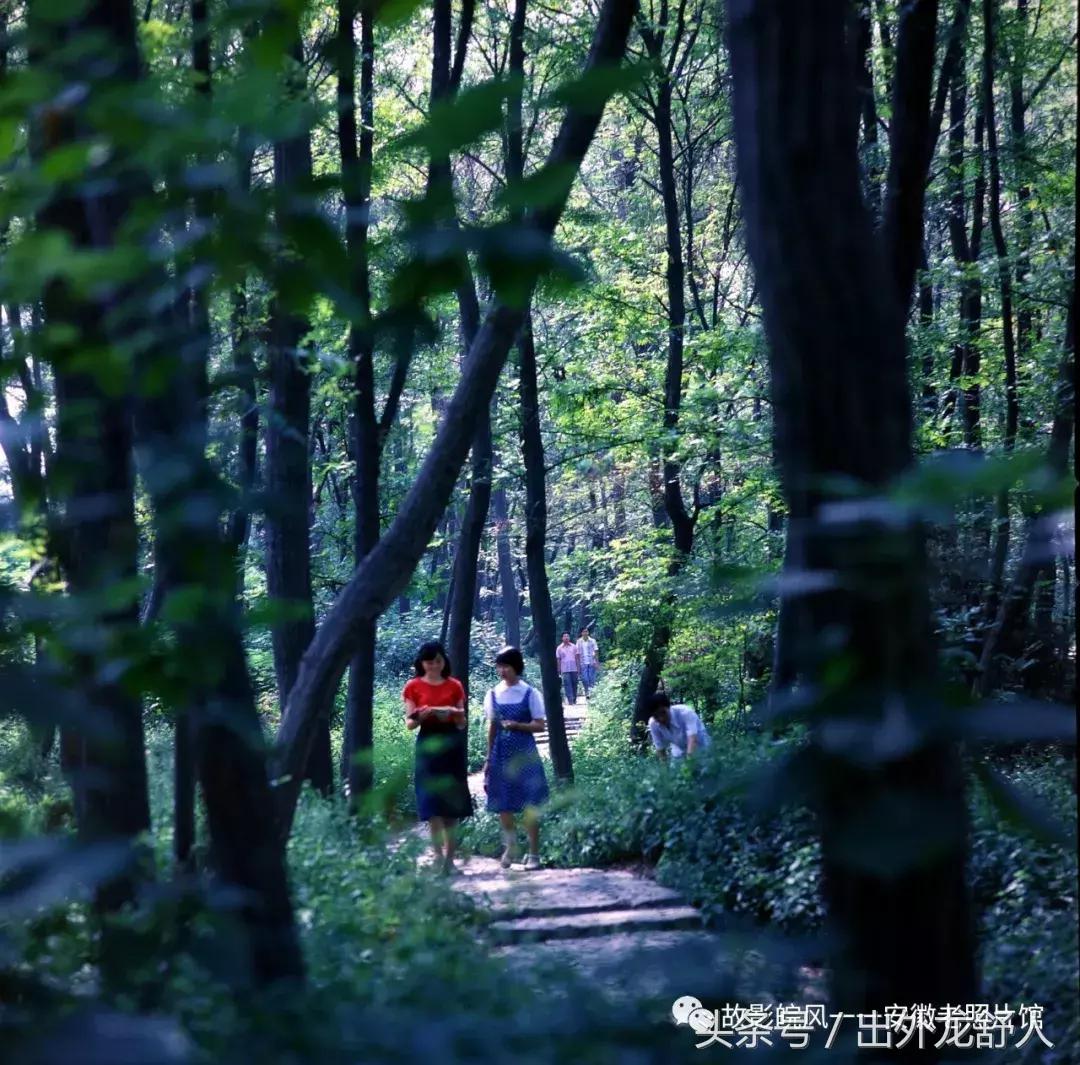 光“徽”岁月——影像见证安徽40年（一）