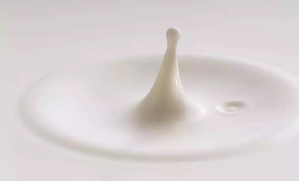 伊利君乐宝飞鹤三元,飞鹤与君乐宝纯牛奶