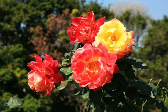 深圳周边遛娃免费地点推荐,深圳南山遛娃好去处