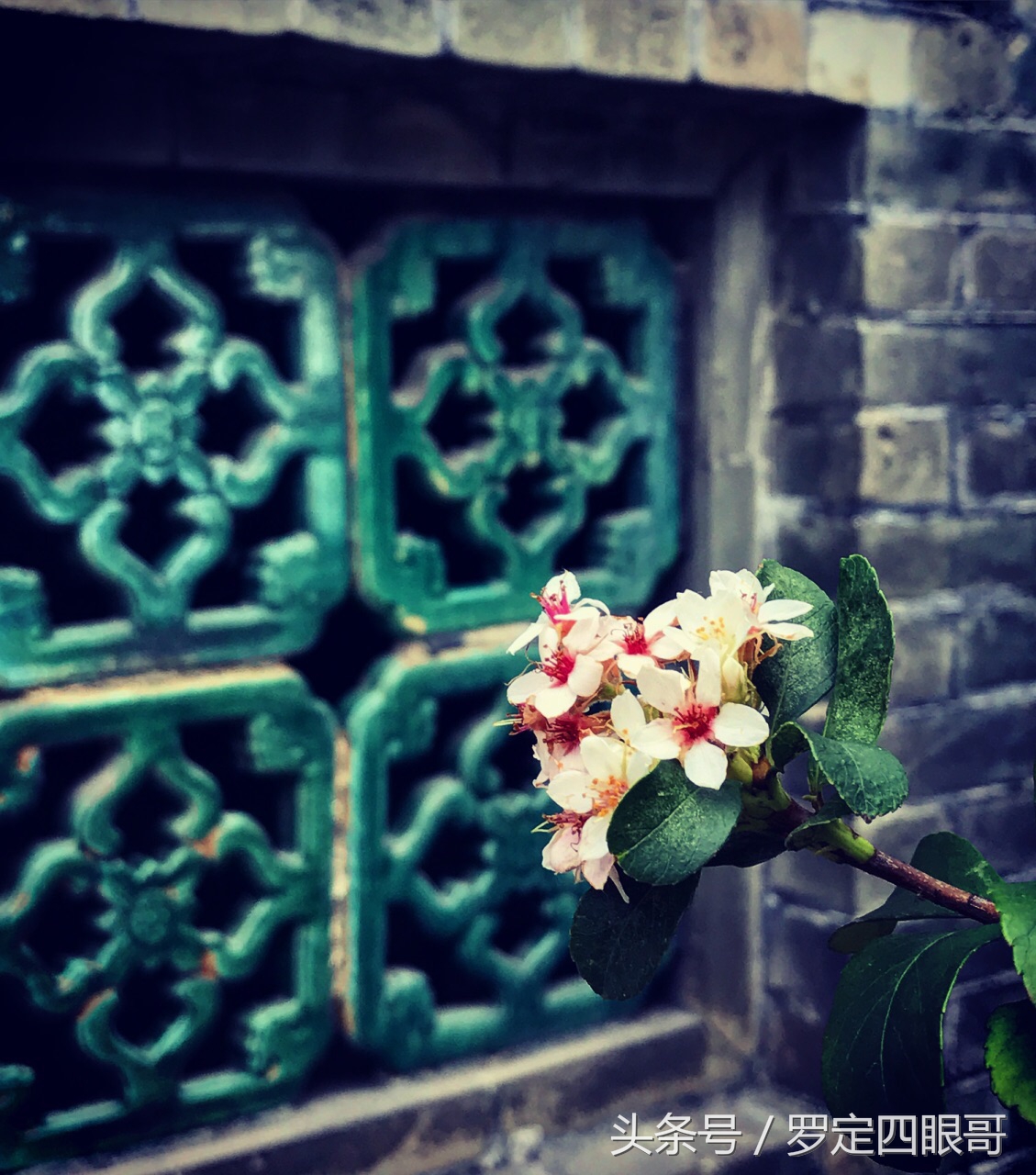 岭南四大名园东莞可园售票处,东莞可园免费景点大全