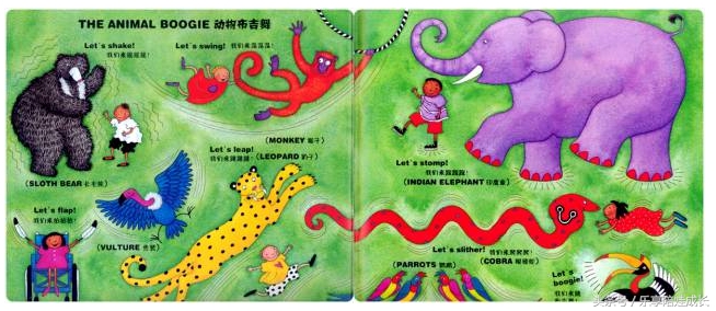 animalboogie绘本,thebook绘本磨耳朵
