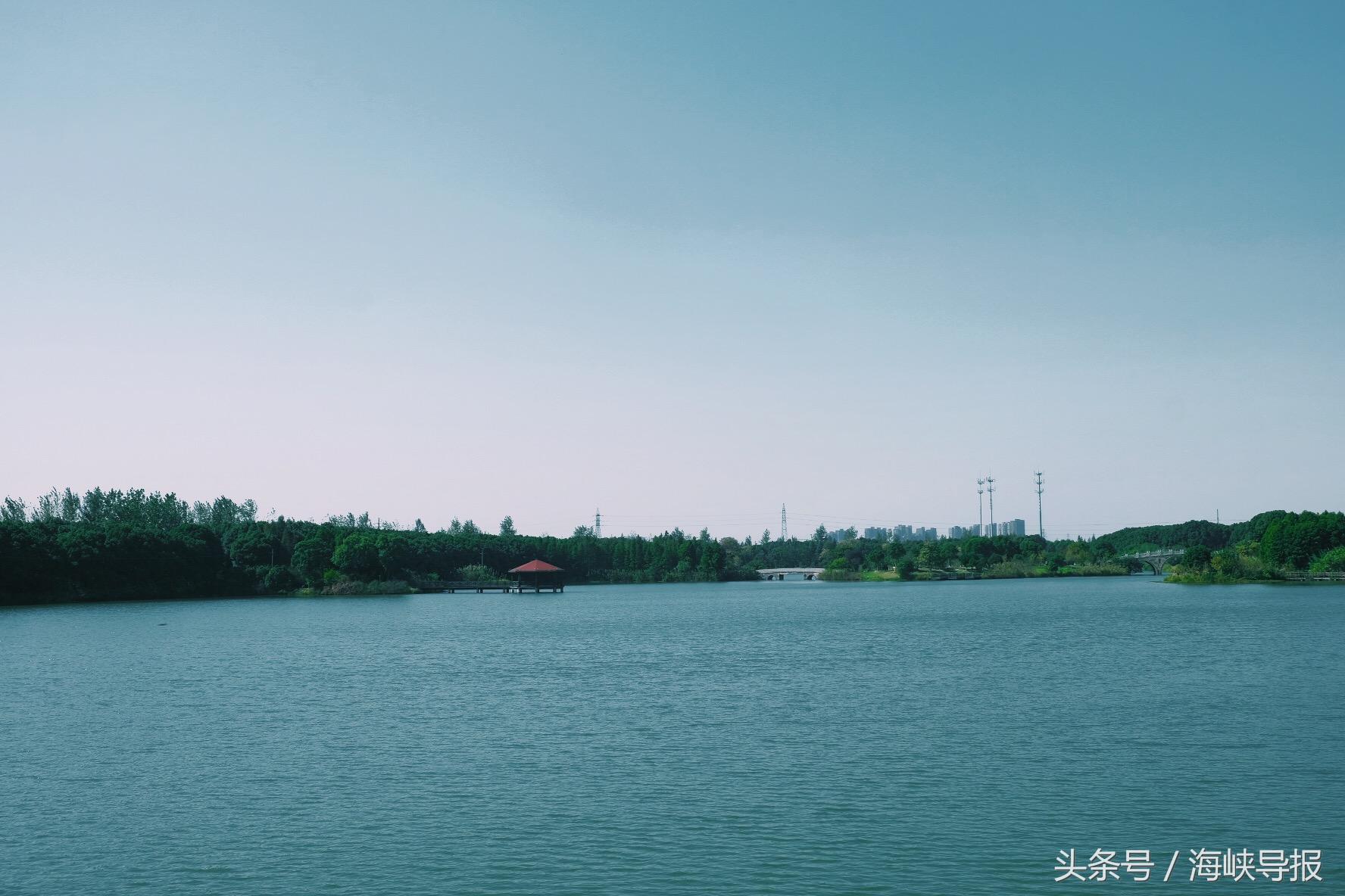 大隐隐于市!这座生态园让你感受江南水乡的农家之美