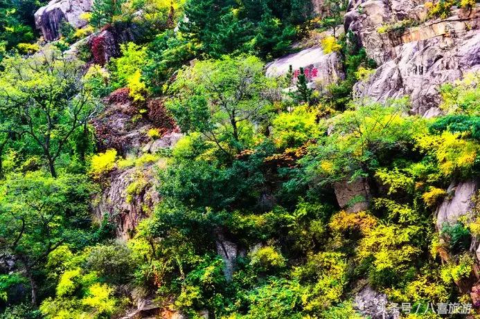 老外游崂山,坐青岛11号线去崂山
