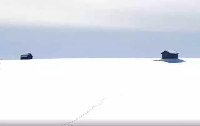 冬天去日本北海道的攻略,冬季日本北海道游记