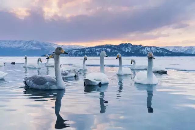 冬天去日本北海道的攻略,冬季日本北海道游记