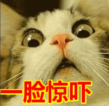 ugg被爆出惊天丑闻,ugg出事了怎么处理