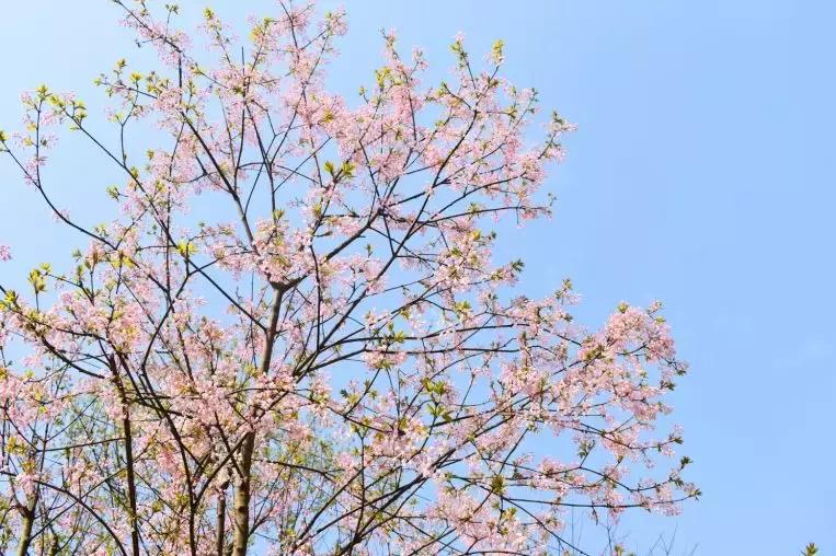 宜昌百家文化生活空间正在推选丨长阳卓尔文旅：你想要的诗与远方