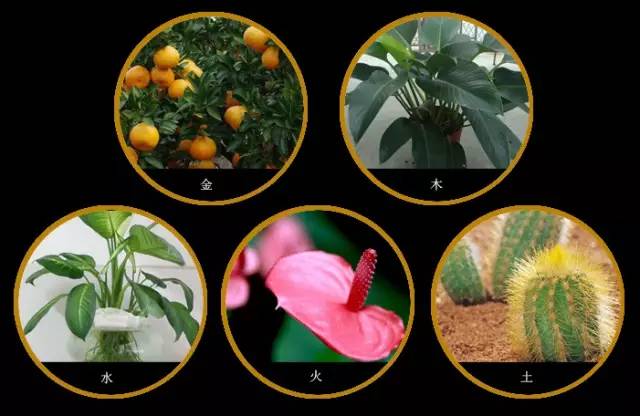 庭院风水知识简单通俗解释,农村庭院风水知识大全