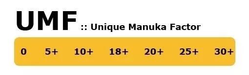 MANYKA(麦蜜卡)研发工程师专访:重新认识产品,从内而外