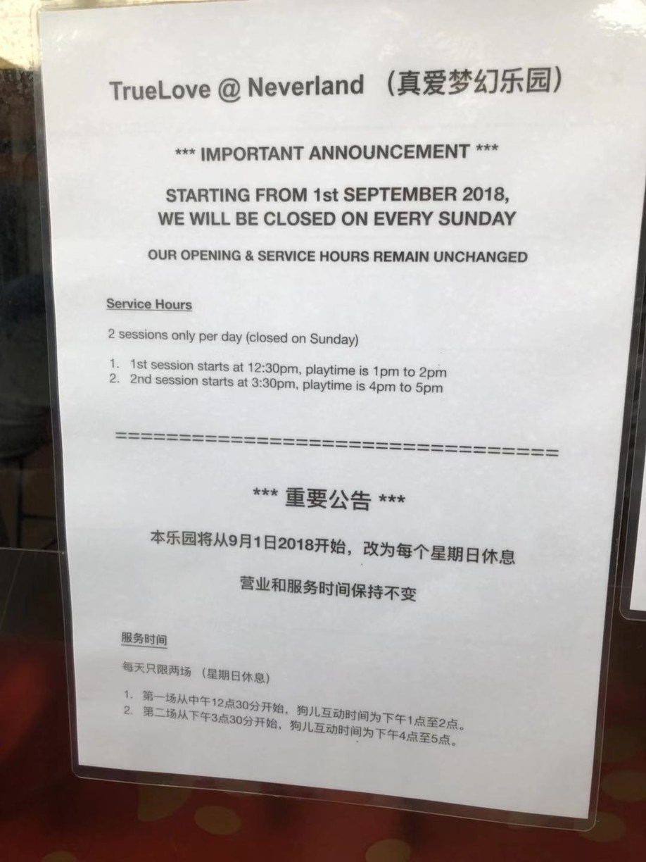 长发美美Sia丫丫带你游遍纸醉金迷曼谷小清新清迈