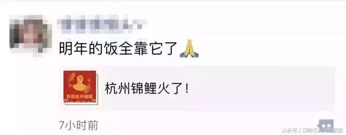 「高能预警」“转发此锦鲤”自带防诈骗光环！