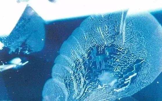 不同产地蓝宝石的“指纹”:包裹体的特征你知道吗?