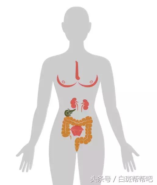 李咏是因为癌症死亡的吗,李咏得的啥癌症为什么葬在美国