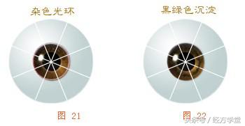 经方学习讲座,经方学堂分享