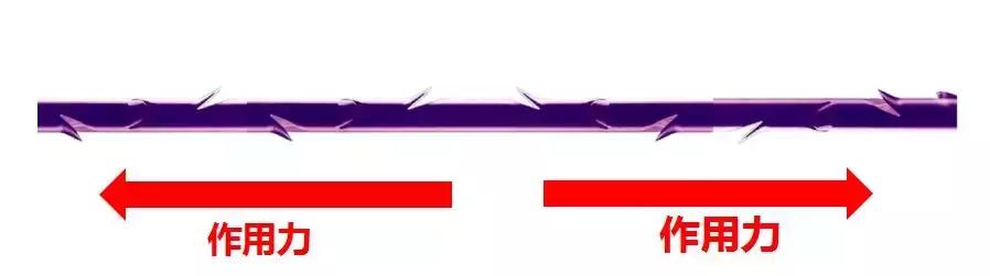 施尔美春季新品发布会,施尔美新品发布直播