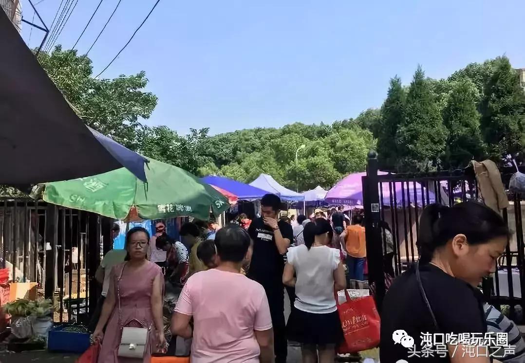 30张照片清晰全屏,沌口图片