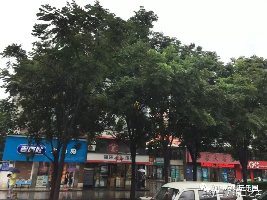 30张照片清晰全屏,沌口图片