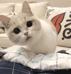 软考初级网络管理员,网络管理员软考初级难吗