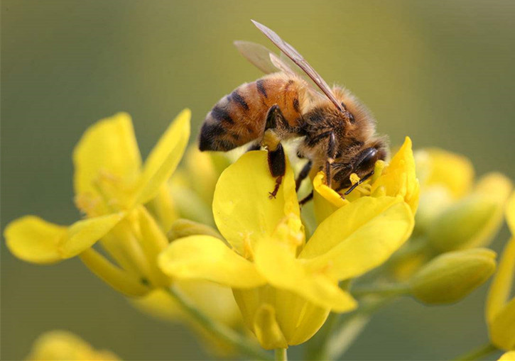 70岁老人身体好的秘诀,70岁以上老人健康秘诀