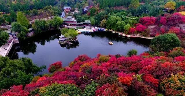 济南红叶谷在济南什么位置,山东济南红叶谷秋色