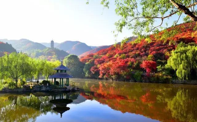 济南红叶谷在济南什么位置,山东济南红叶谷秋色