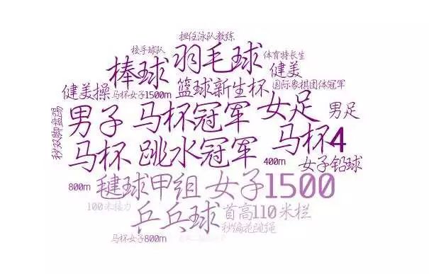 清华大学生获国家荣誉奖,获得康奈尔大学生最高荣誉的是谁