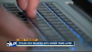 狗狗失踪2年重聚完整版,狗狗失踪两天还找得回来吗