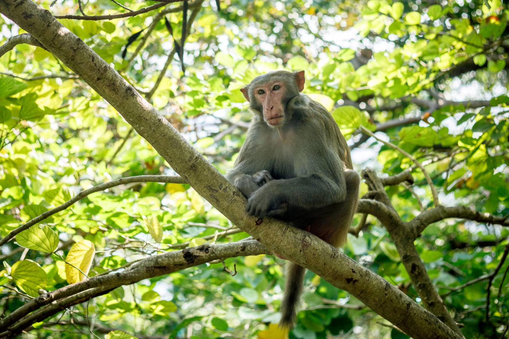 海南足球游记：摄影师眼中的非典型三亚