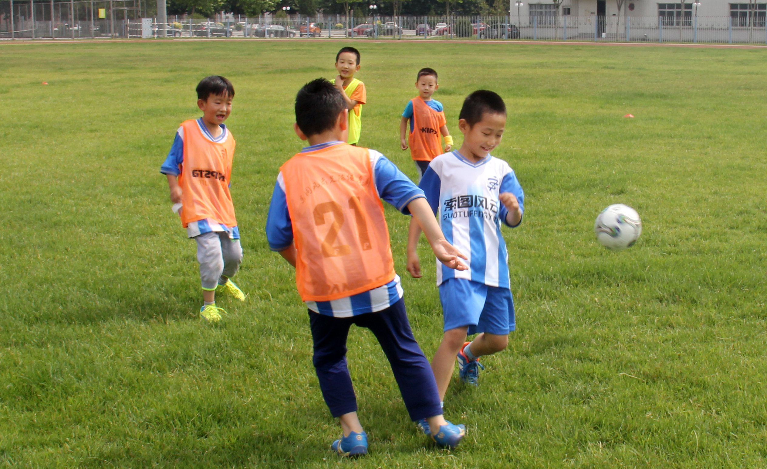 索图篮球训练营顺义,顺义篮球培训班