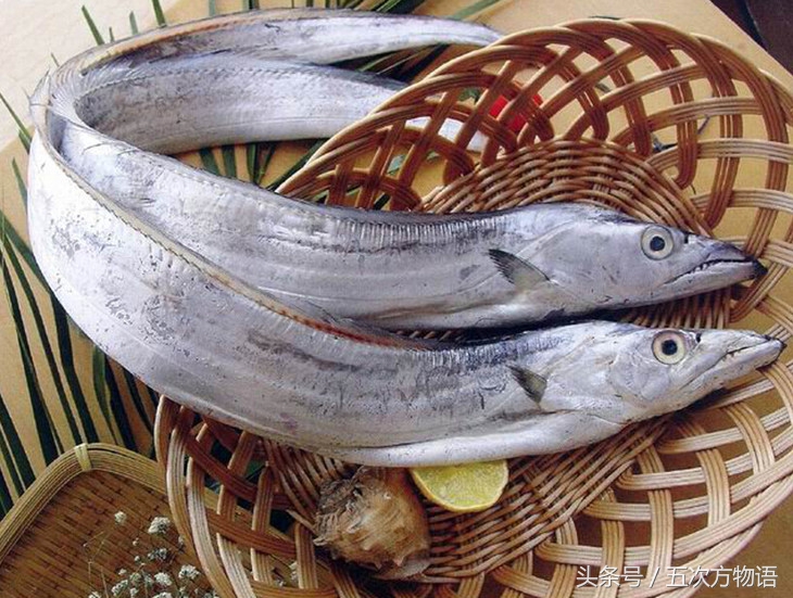 青岛海鱼品种大全及图片,青岛好吃的海鱼有哪些