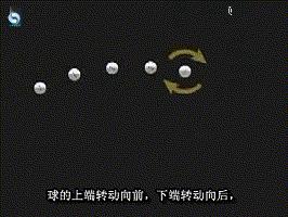 乒乓球的基本知识与打法视频,乒乓球入门理论知识