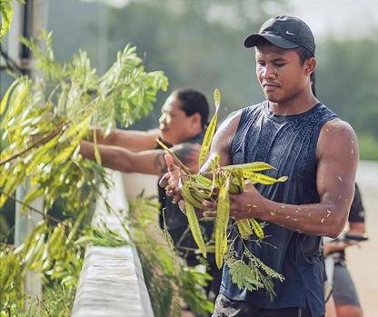 泰拳王播求来广州武馆,泰拳王播求vs扎姆比迪斯