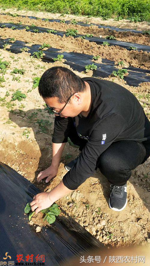 找到肇事者，帮忙洗衣服，被牛虻蛰！村书记满涛的侠客传