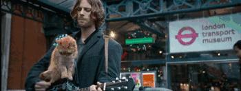 十一月这份片单,我敲锣打鼓的告诉你