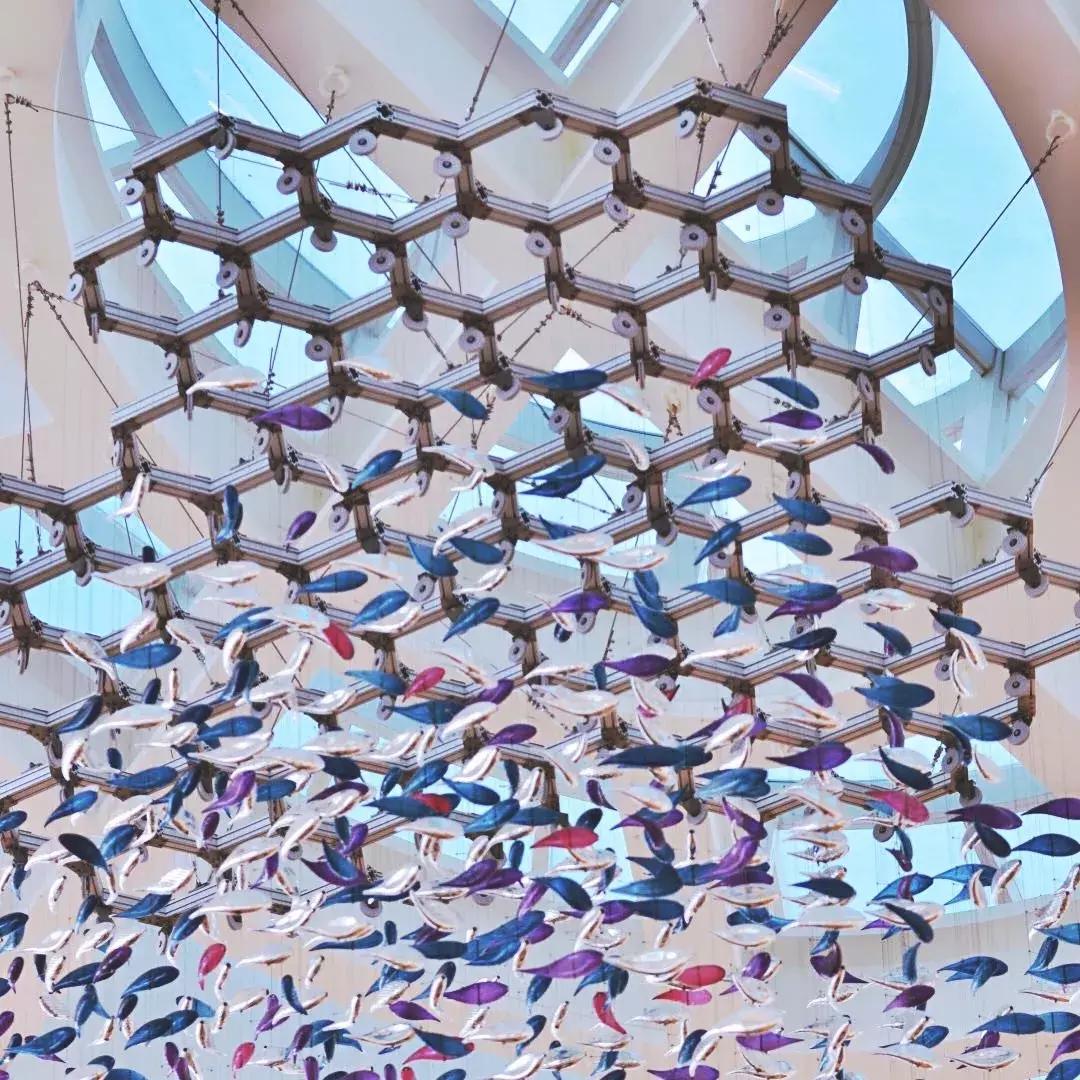 鲨鱼海豚亲子游攻略 (凤岭水世界游玩攻略)