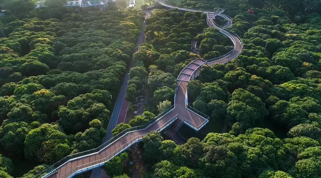 深圳向世界发出邀请,向世界推介深圳