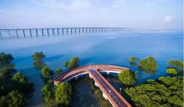 向世界推介深圳,深圳向世界发出邀请