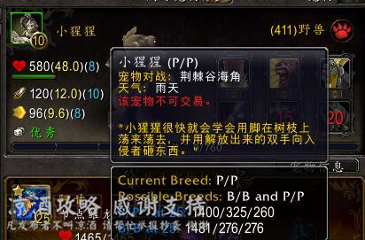 魔兽世界好用的技能监测,魔兽世界实用技能