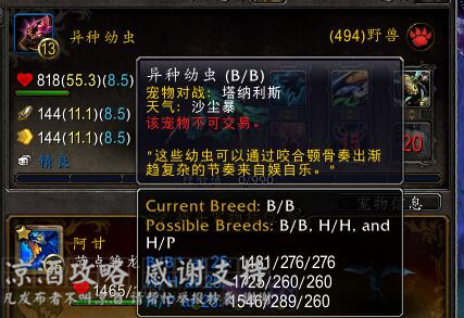 魔兽世界好用的技能监测,魔兽世界实用技能