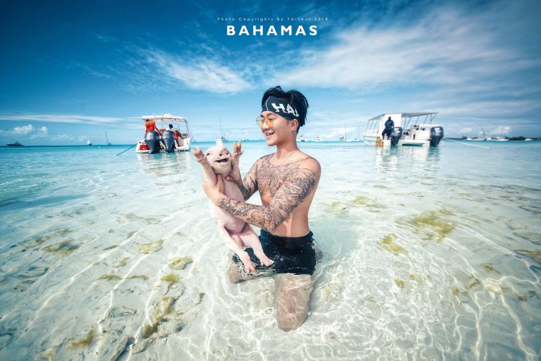 中国护照去哪里免签或者落地签,中国护照免签落地签要给钱吗