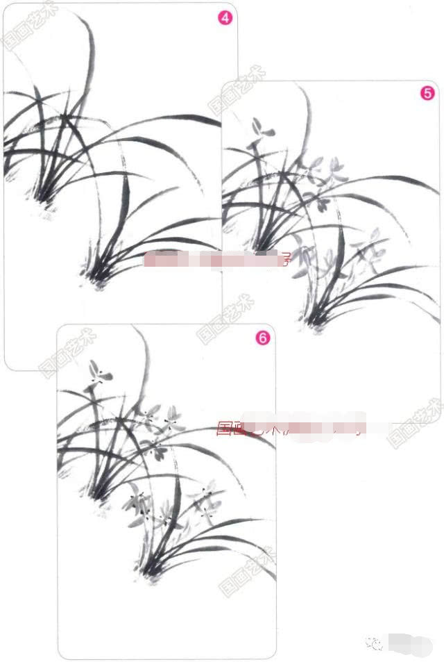 写意兰花的基本画法视频,写意兰花的画法技法视频