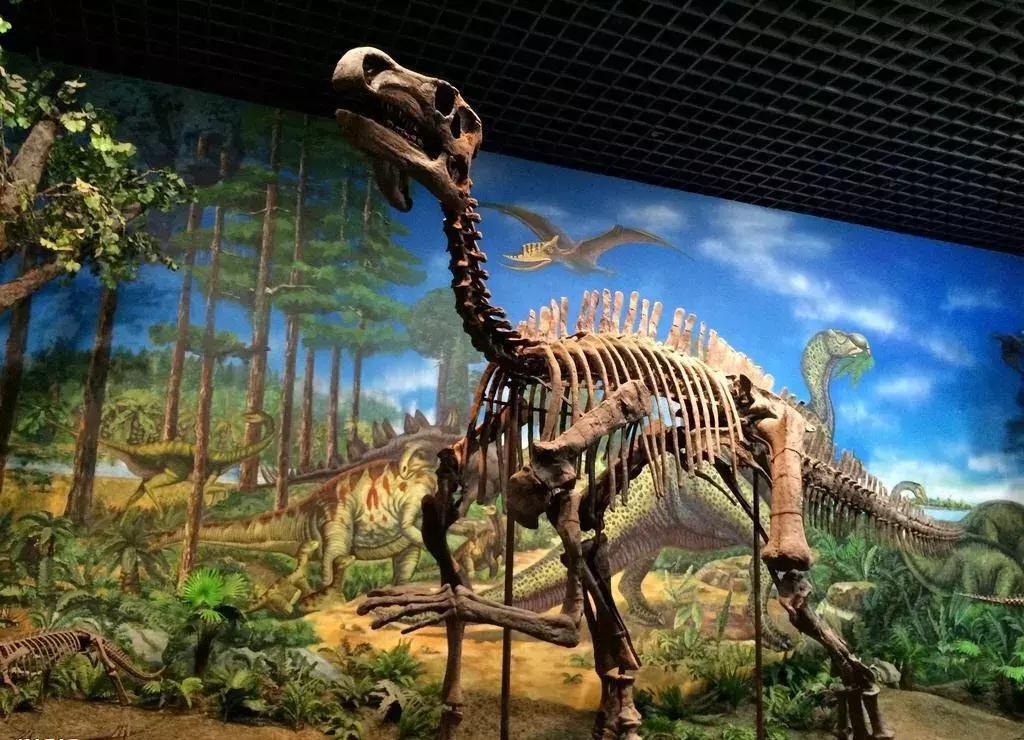 style鐜板満鐗堝浼﹀ (鐧惧彉澶氫鸡澶歴tyle)